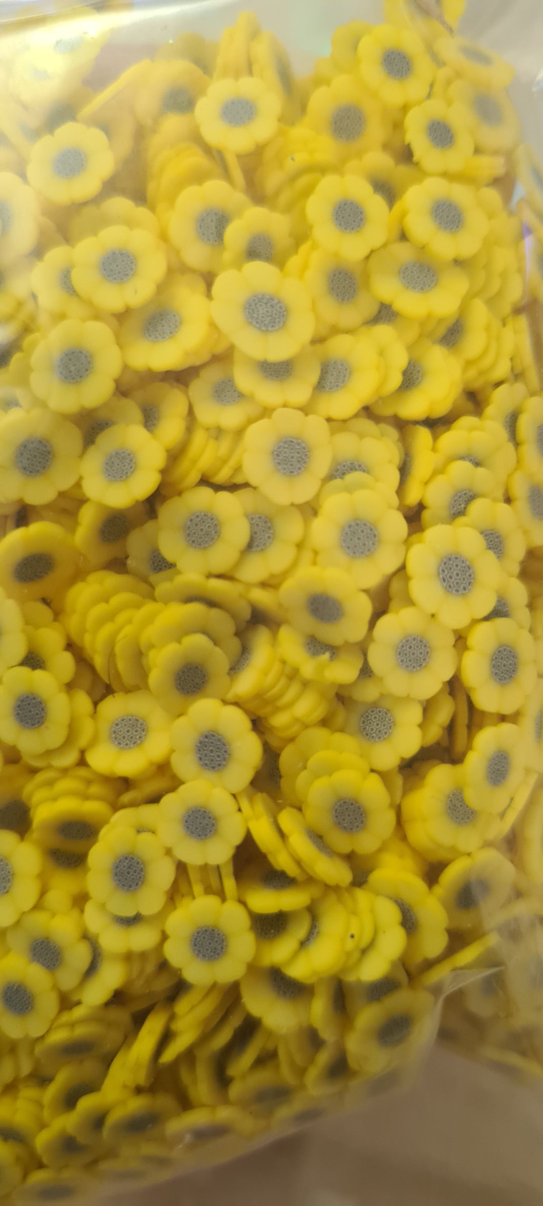 Clay Sunflower Slices